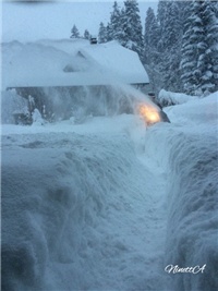 831c4d6c-20170117 VV čišćenje s.jpg